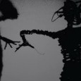 Another piece of darkness from Greg Dulli
