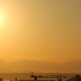 An audio/visual sampling of some of Seattle's best from 2011