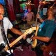 See them live July 8 at the High Dive