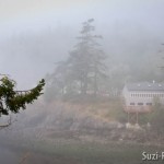 Doe Bay Festival 2011