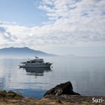 Doe Bay Festival 2011