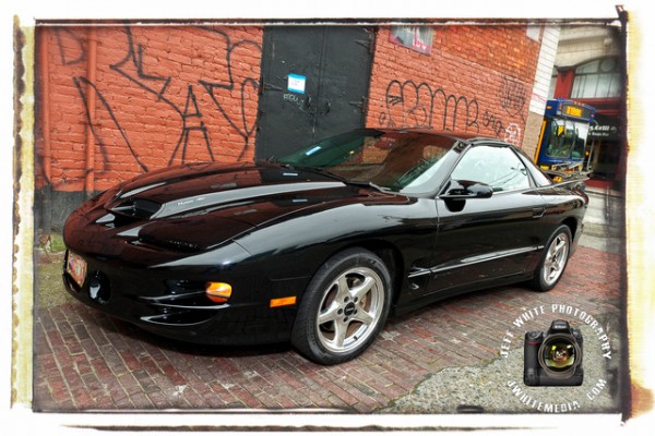 Layne Stayley's Firebird