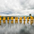 PHOTOS: More scenes from day 1 of Sasquatch! 2013 Father John Misty, Jherek Bischoff, Built to Spill, Reignwolf & more